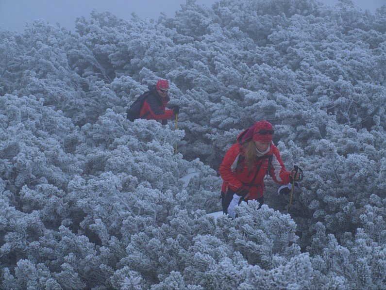 ski touring Bihor Vladeasa Mountains