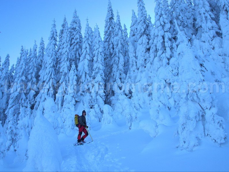 ski touring Bihor Vladeasa Mountains