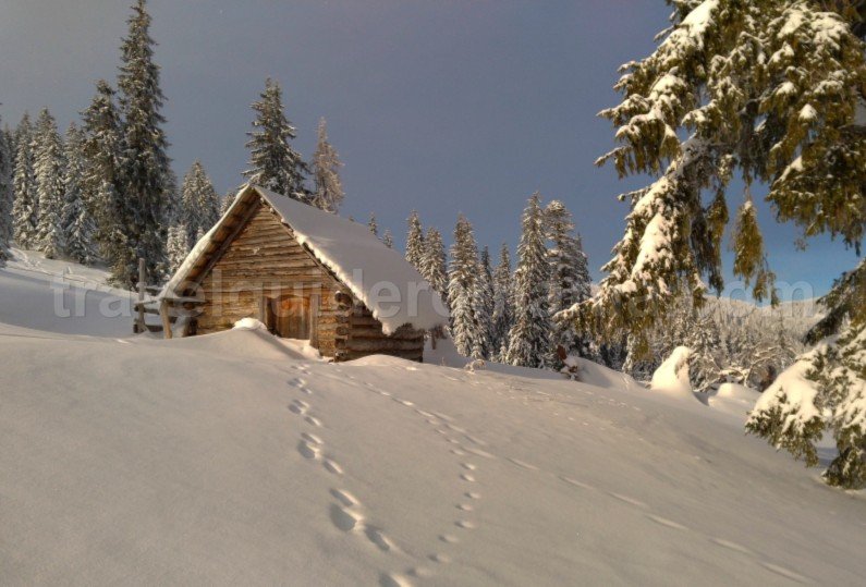 ski touring Bihor Vladeasa Mountains