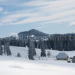 ski touring Bihor Vladeasa Mountains