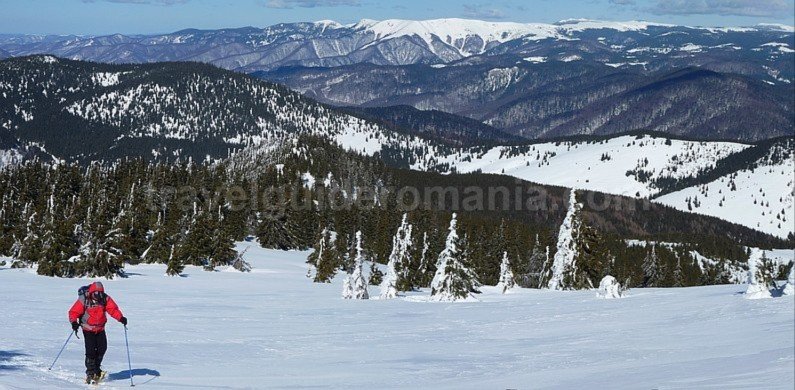 ski touring Bihor Vladeasa Mountains