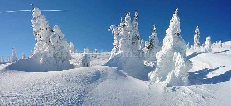 ski touring Bihor Vladeasa Mountains