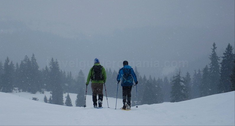ski touring Bihor Vladeasa Mountains