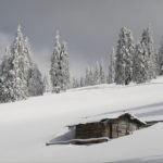 varasoaia glade ski touring Bihor Vladeasa Mountains