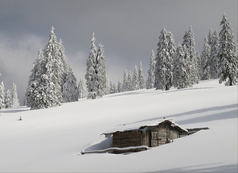 ski touring Bihor Vladeasa Mountains
