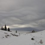 varasoaia glade ski touring Bihor Vladeasa Mountains