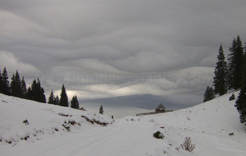 ski touring Bihor Vladeasa Mountains