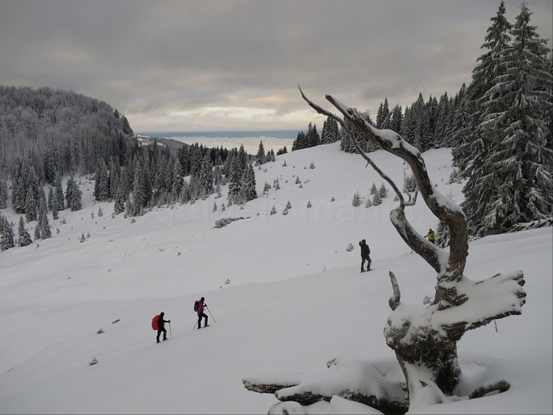 ski touring Bihor Vladeasa Mountains