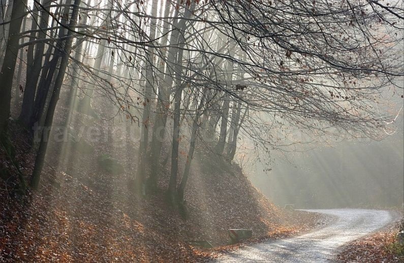 mountain biking Ponoara Bratcutei Valley Padurea Craiului