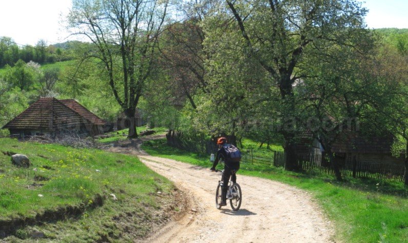 mountain biking Ponoara Padurea Craiului