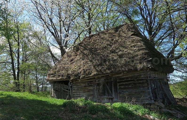 mountain biking Ponoara Padurea Craiului