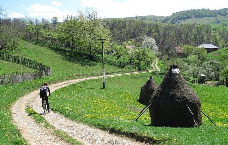 mountain biking Ponoara Padurea Craiului