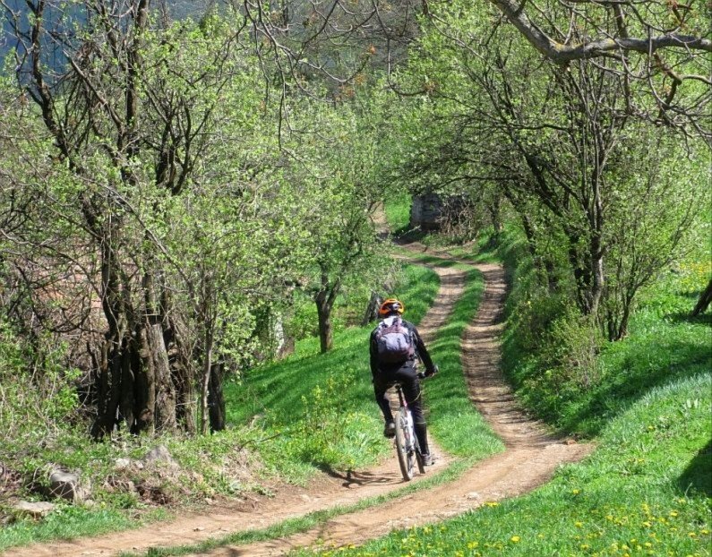mountain biking Ponoara Padurea Craiului