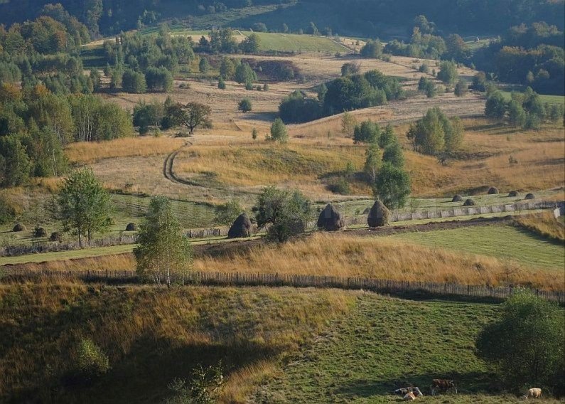 mountain biking Ponoara Padurea Craiului