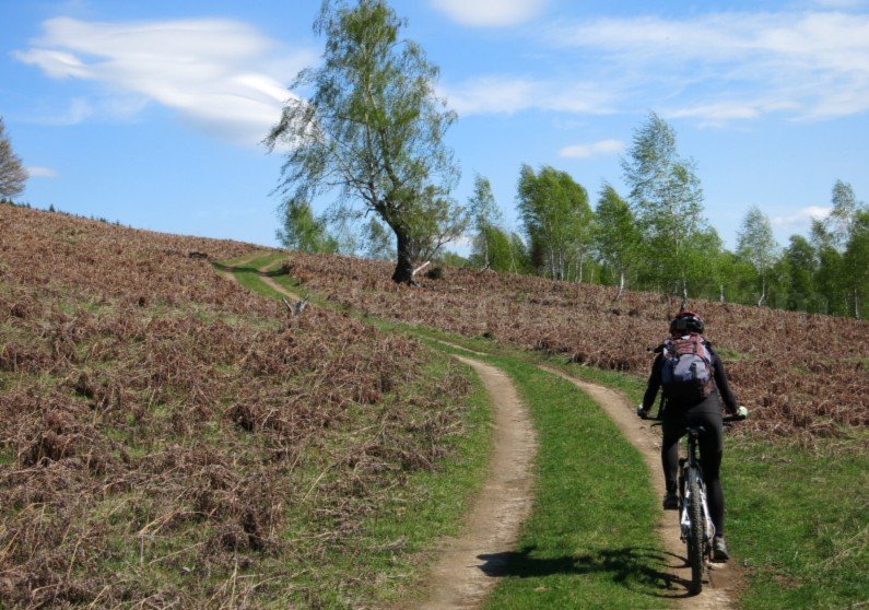 mountain biking Ponoara Padurea Craiului