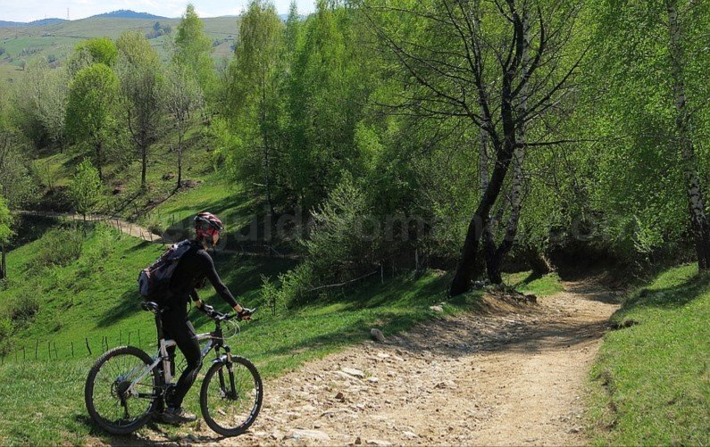 mountain biking Ponoara Padurea Craiului