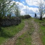 mountain biking Ponoara Padurea Craiului