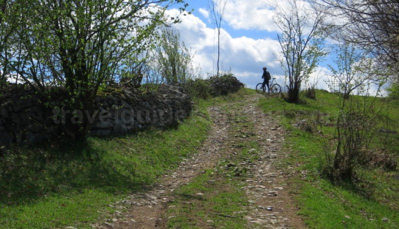 mountain biking Ponoara Padurea Craiului