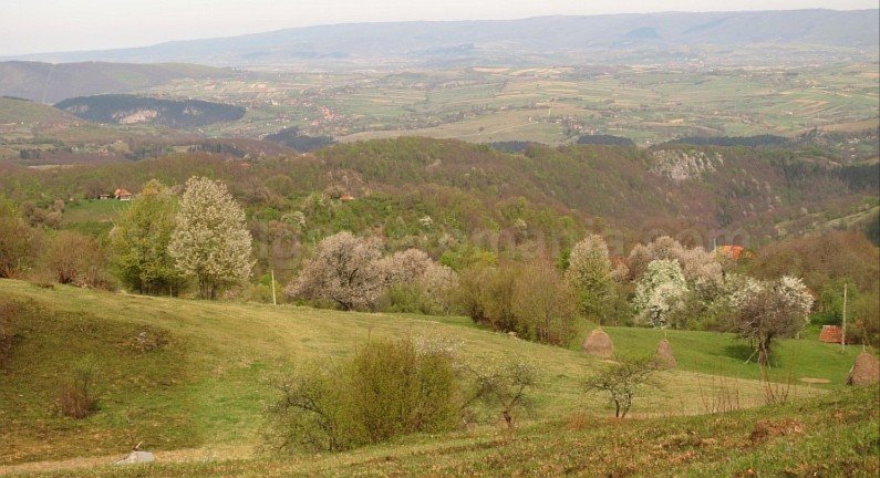 mountain biking Ponoara Padurea Craiului