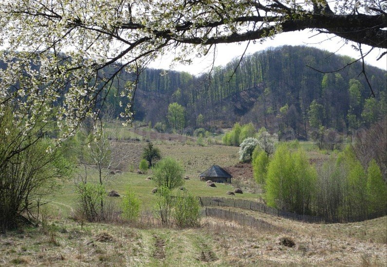mountain biking Ponoara Padurea Craiului