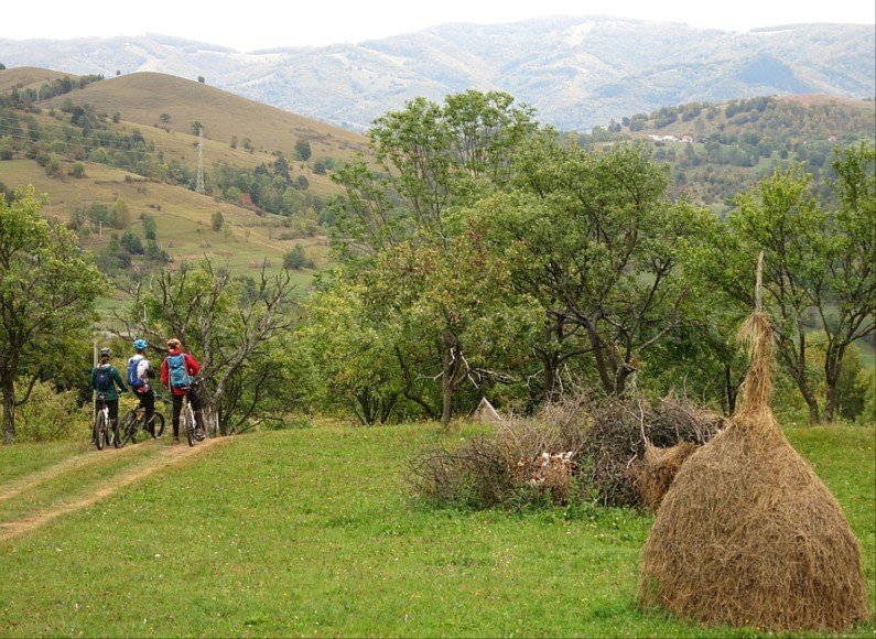 mountain biking Ponoara Padurea Craiului Apuseni