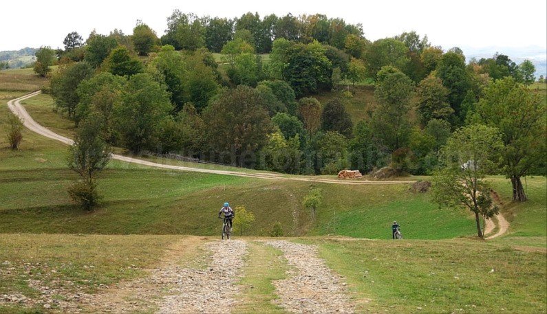 mountain biking Ponoara Padurea Craiului