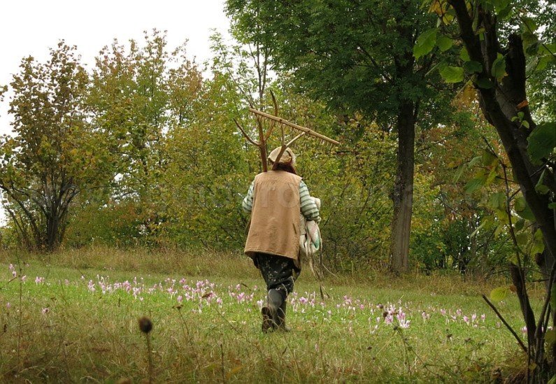 mountain biking Ponoara Padurea Craiului