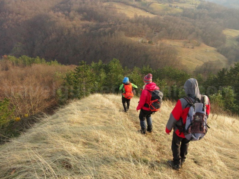 mountain biking Ponoara Padurea Craiului