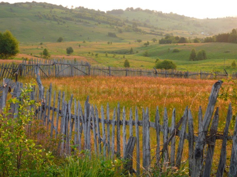 mountain biking Ponoara Padurea Craiului