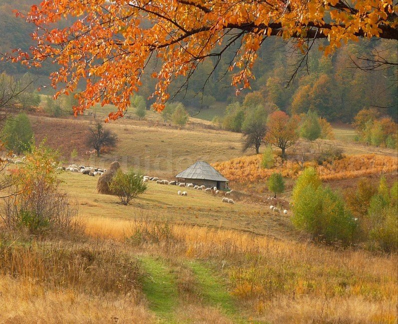 mountain biking Ponoara Padurea Craiului