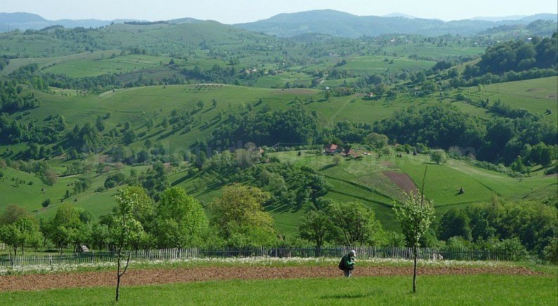 mountain biking Ponoara Padurea Craiului