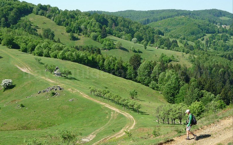 mountain biking Ponoara Bratcutei Valley Padurea Craiului