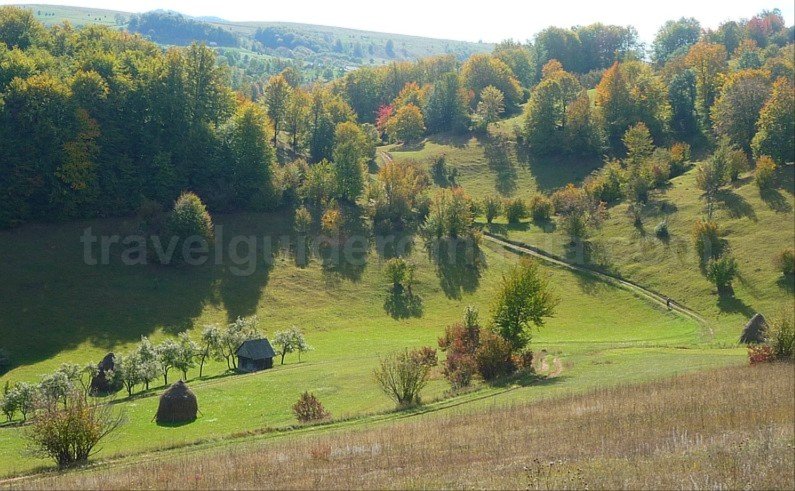 mountain biking Ponoara Padurea Craiului