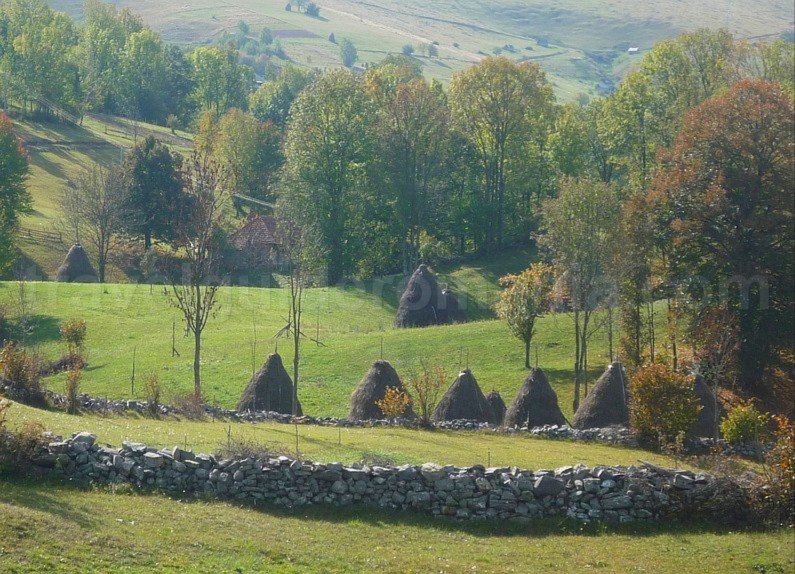 mountain biking Ponoara Padurea Craiului