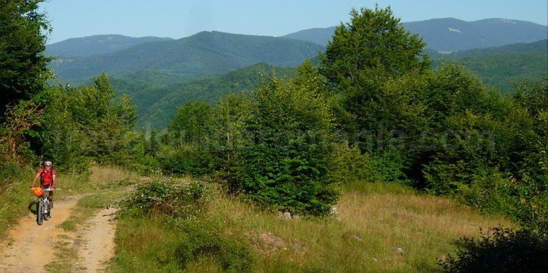 mountain biking Ponoara Padurea Craiului