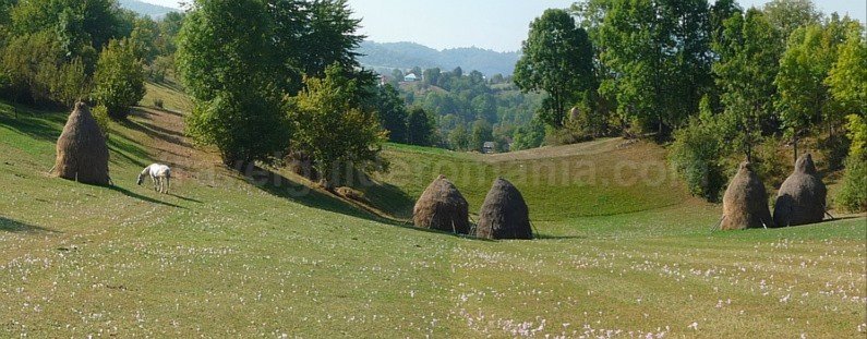 mountain biking Ponoara Padurea Craiului