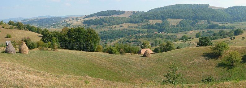 mountain biking Ponoara Padurea Craiului