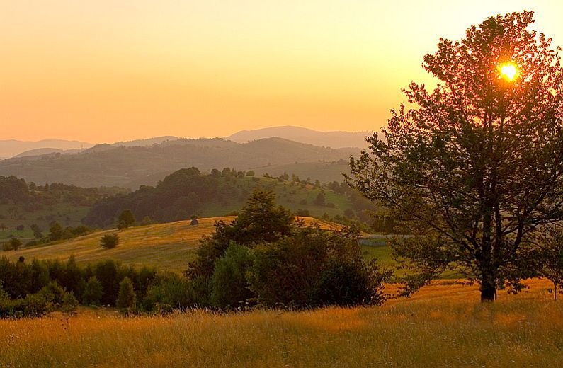 Padurea Craiului Ponoara Apuseni