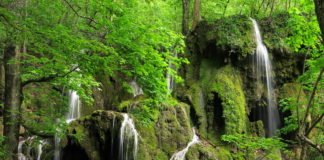 The Waterfalls in Nerei Gorge – Beusnita National Park Beiusnita waterfall