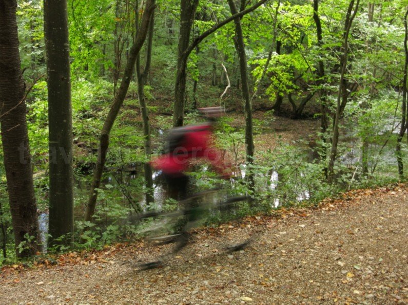 Nerei Gorge - Beusnita National Park biking