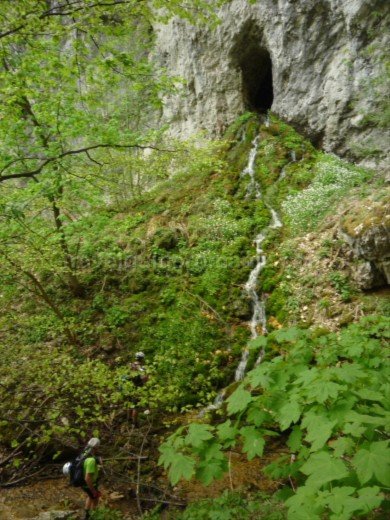Nerei Gorge - Beusnita National Park