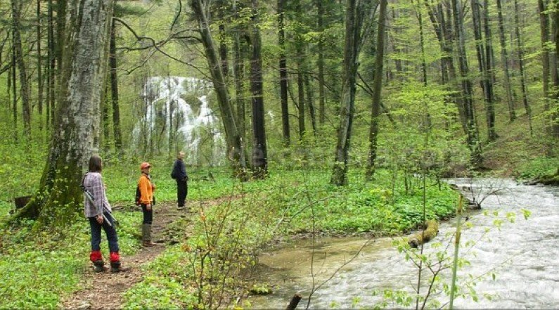 Nerei Gorge - Beusnita National Park