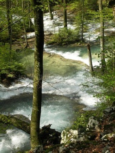 Nerei Gorge - Beusnita National Park