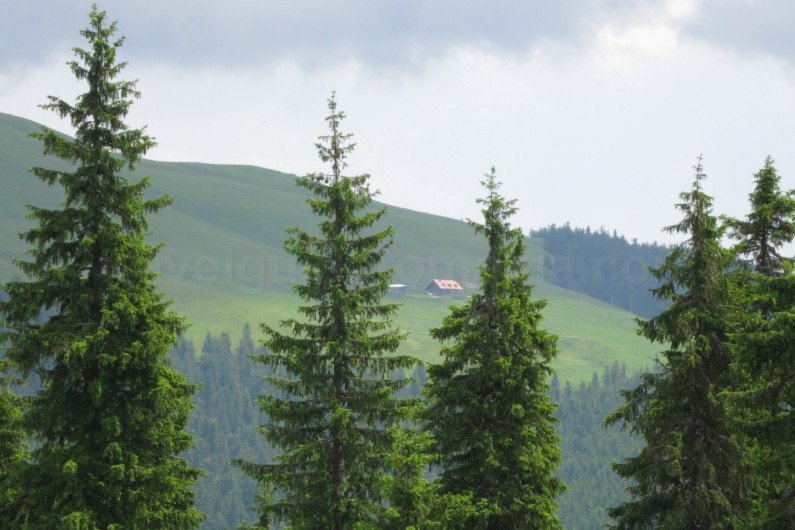 Ecoturism-Destination-Tara-Dornelor-giumalau