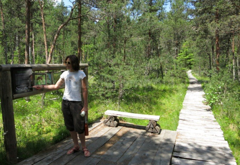 Ecoturism-Destination-Tara-Dornelor-peat