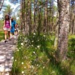 Ecoturism Destination – Tara Dornelor tinovul mare