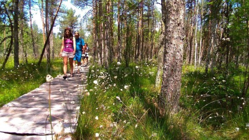 Ecoturism-Destination-Tara-Dornelor-tinovul-mare