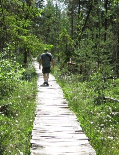 Poiana-Stampei-Ecoturism-Destination-Tara-Dornelor