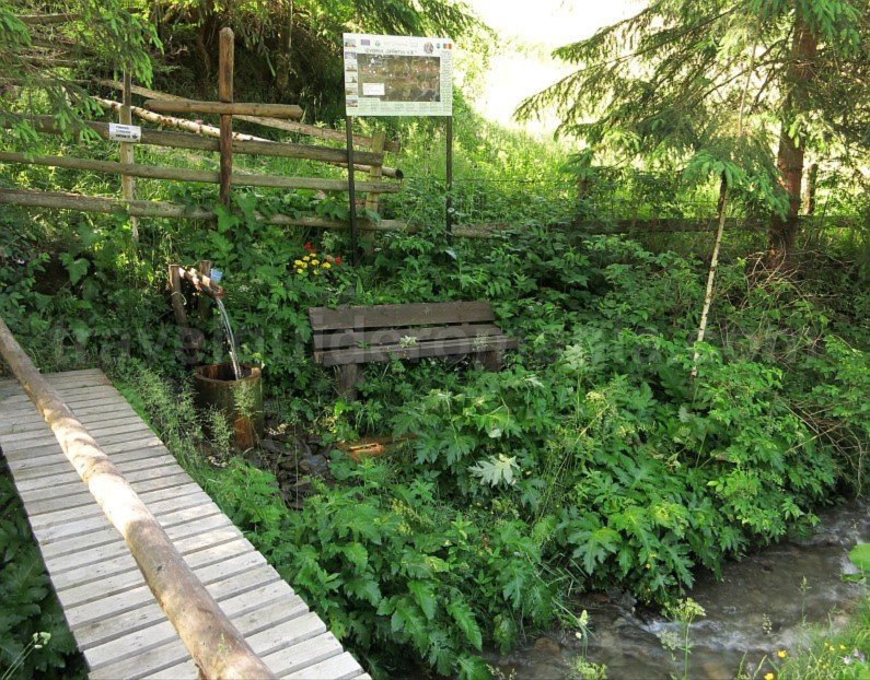 Tara-Dornelor-mineral-water