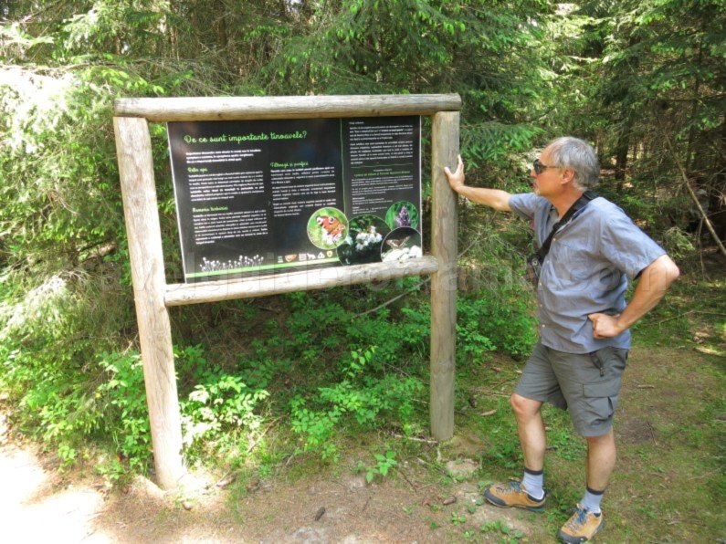 Tara-Dornelor-tinovul-mare-poiana-stampei